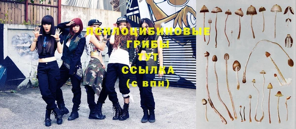 дживик Баксан