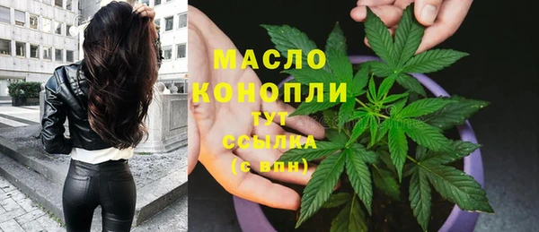 дживик Баксан