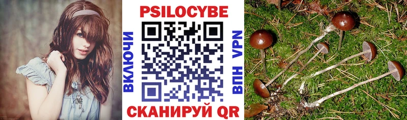 ОМГ ОМГ ТОР  где можно купить   Сергач  Псилоцибиновые грибы Psilocybine cubensis 